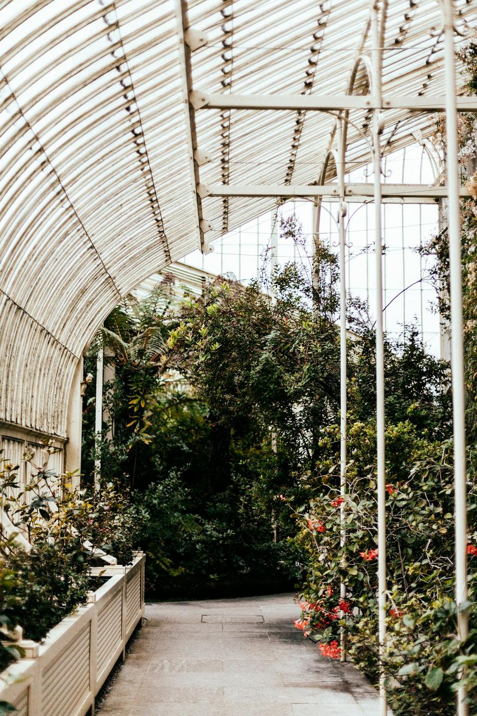 Greenhouse Winter Architecture