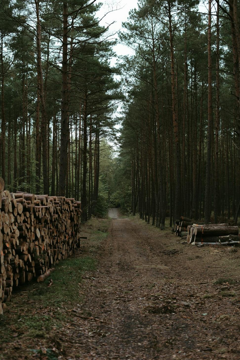 Local Materials