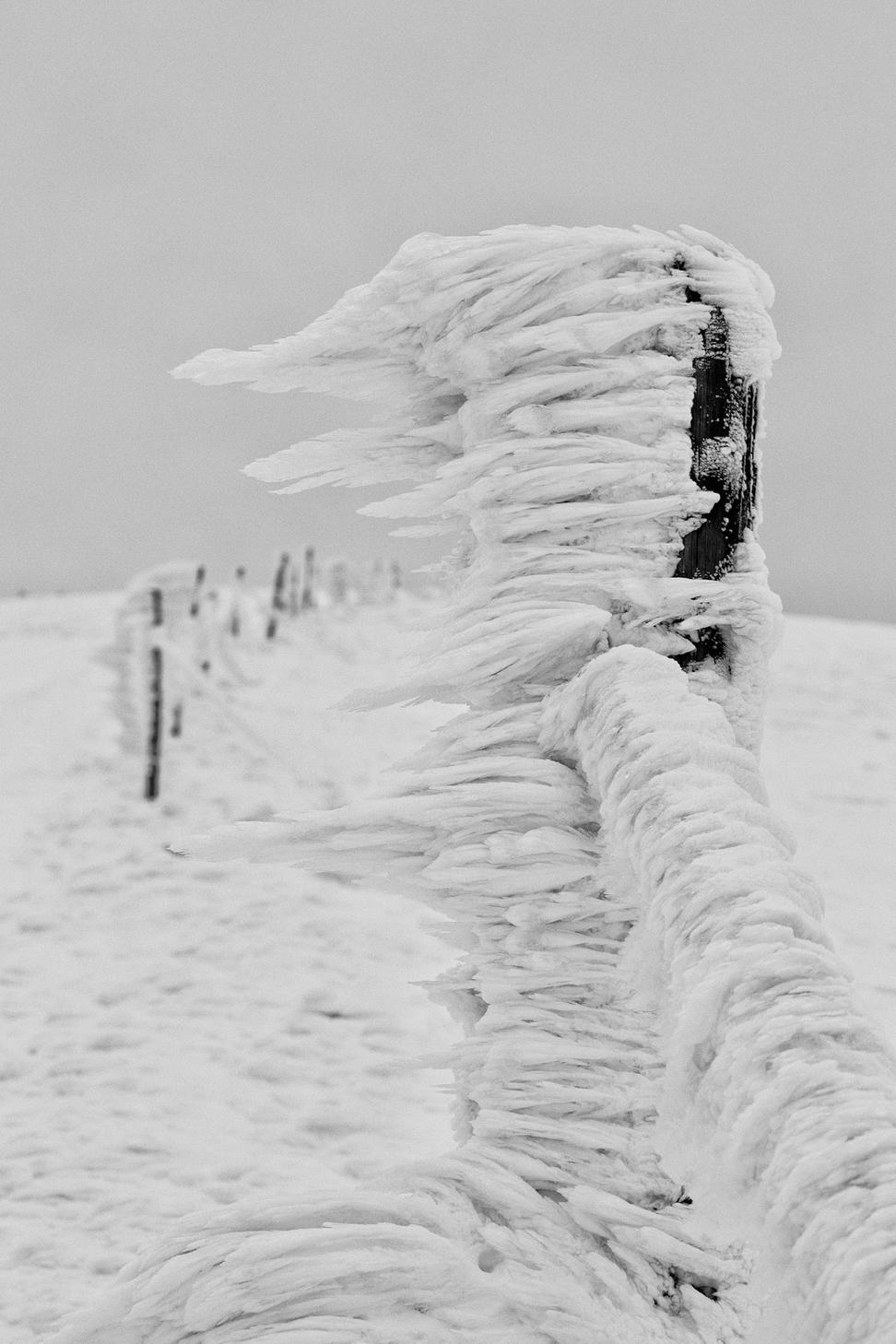Wind protection strategies